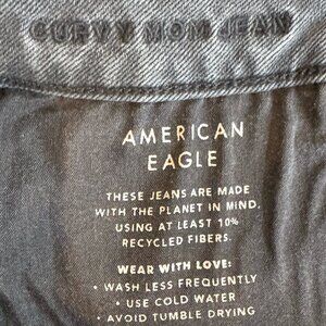 American Eagle Curvy Mom Jean - 10L